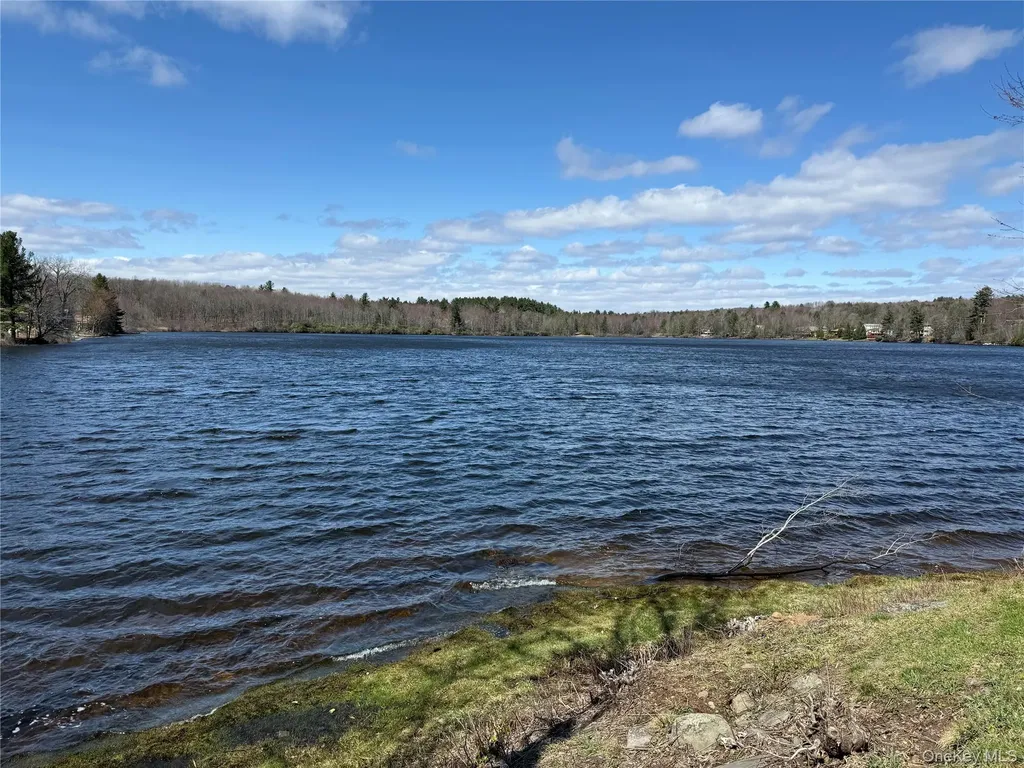 4 Ray Lane Loch Sheldrake NY 12733