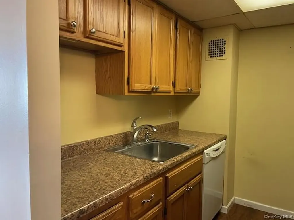 100 Clinton Avenue Mineola NY 11501