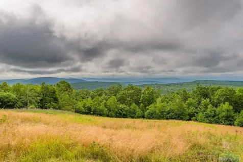 890 Bald Mountain Road Austerlitz NY 12017