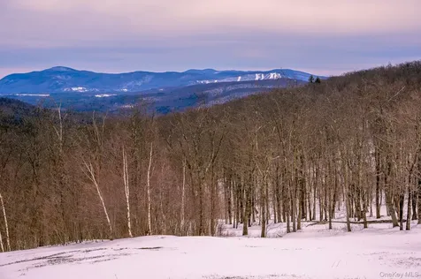 890 Bald Mountain Road Austerlitz NY 12017