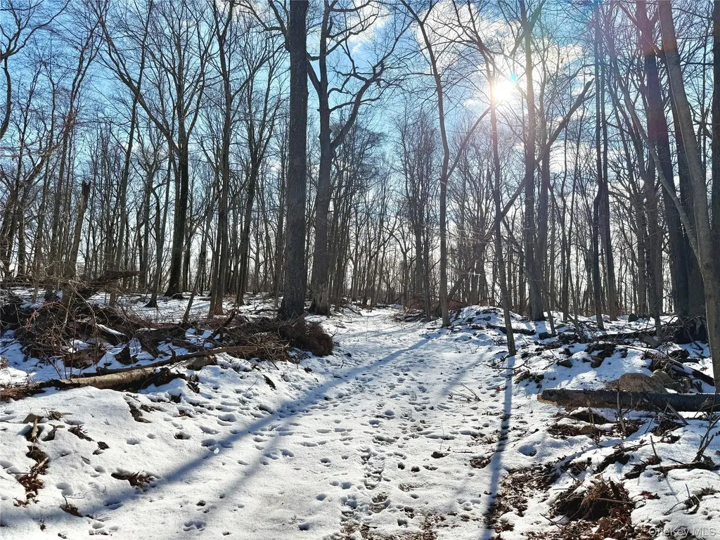 8 Maple Ridge Trail North Salem NY 10560
