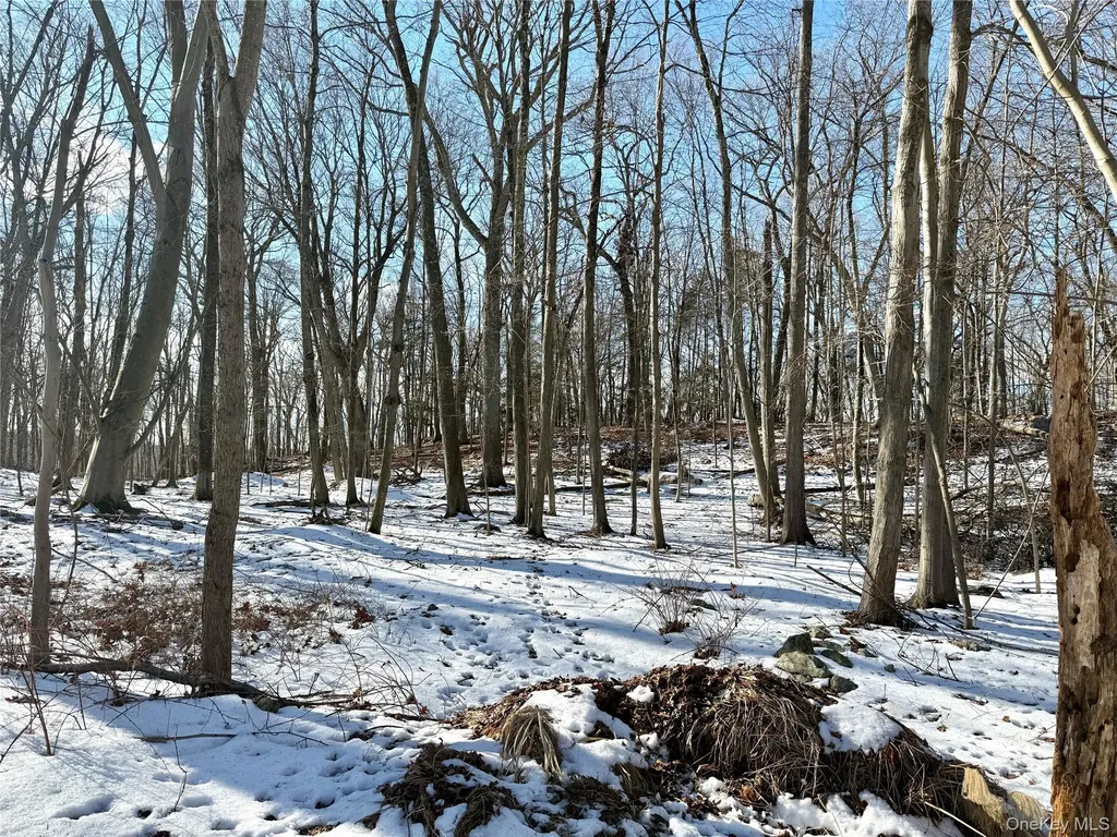 8 Maple Ridge Trail North Salem NY 10560