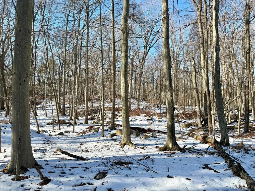 8 Maple Ridge Trail North Salem NY 10560