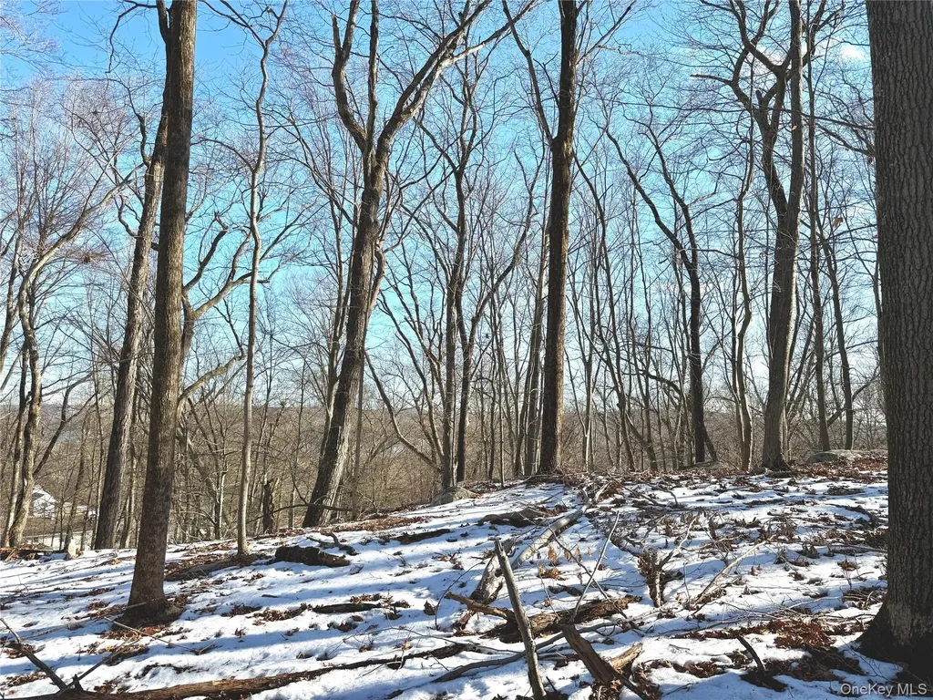 8 Maple Ridge Trail North Salem NY 10560