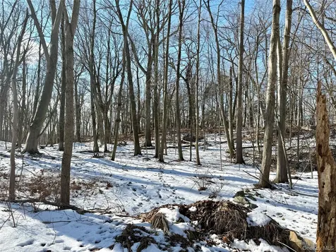 8 Maple Ridge Trail North Salem NY 10560