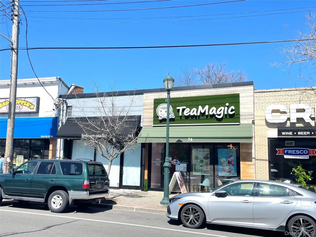 74A Hillside Avenue Williston Park NY 11596