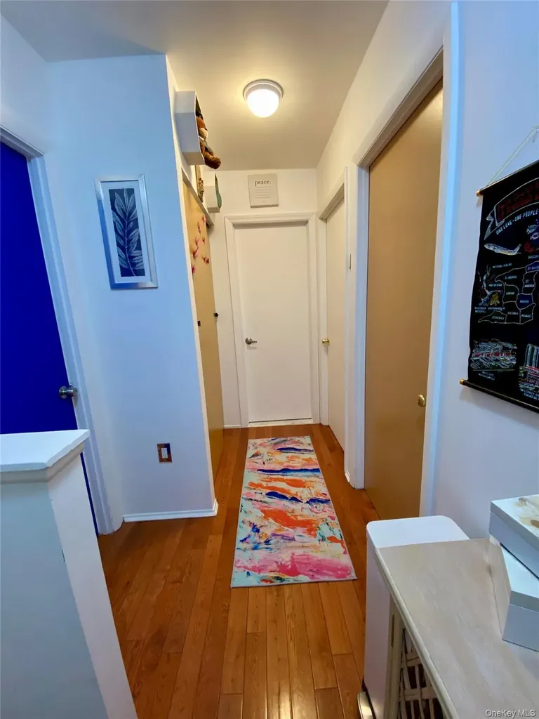 660 Williams Avenue Brooklyn NY 11207