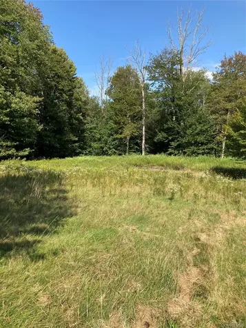 699 Budd Road Woodbourne NY 12788