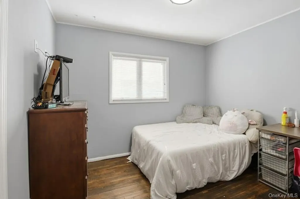 58 Circle Drive Syosset NY 11791