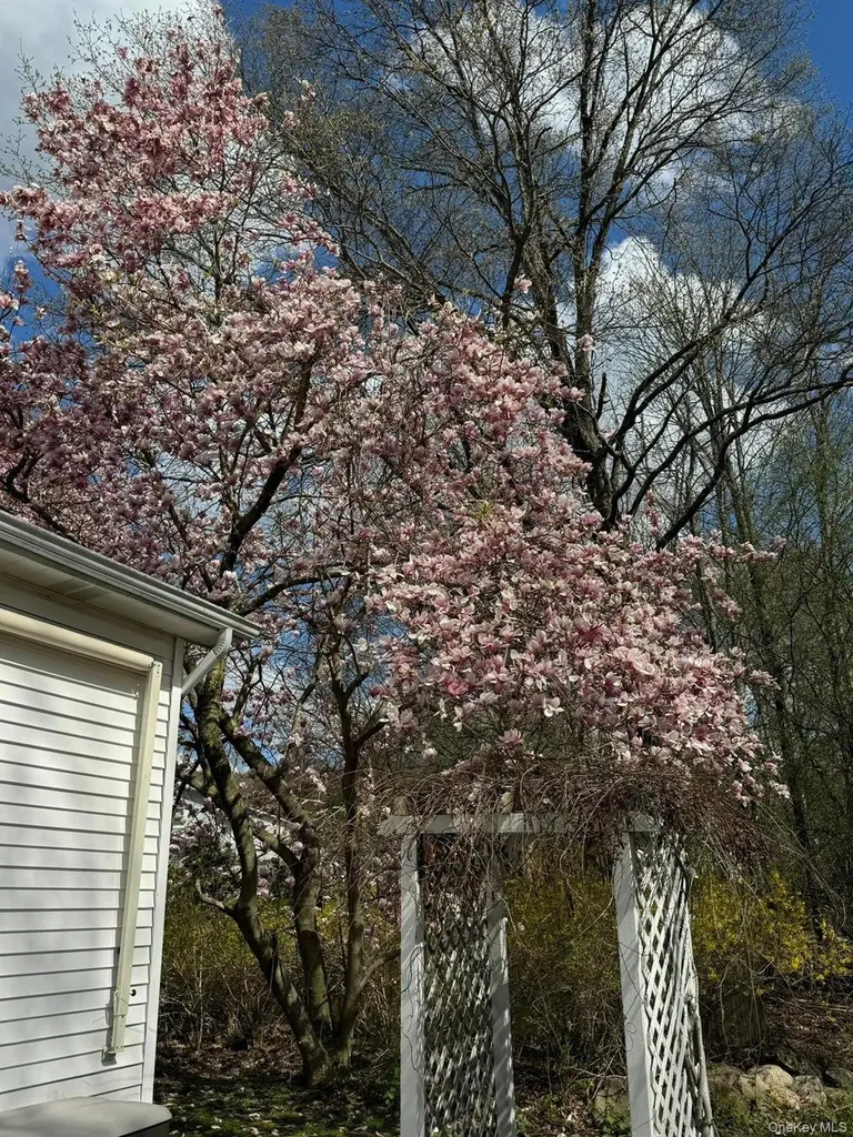 6 Wayne Drive Middletown NY 10940