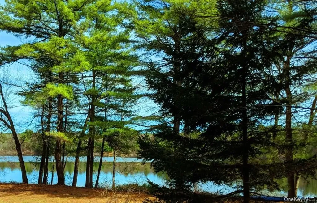 592 Proctor Road Glen Spey NY 12737