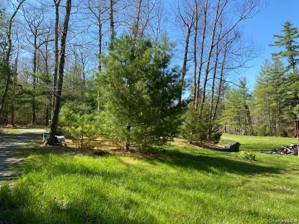 592 Proctor Road Glen Spey NY 12737