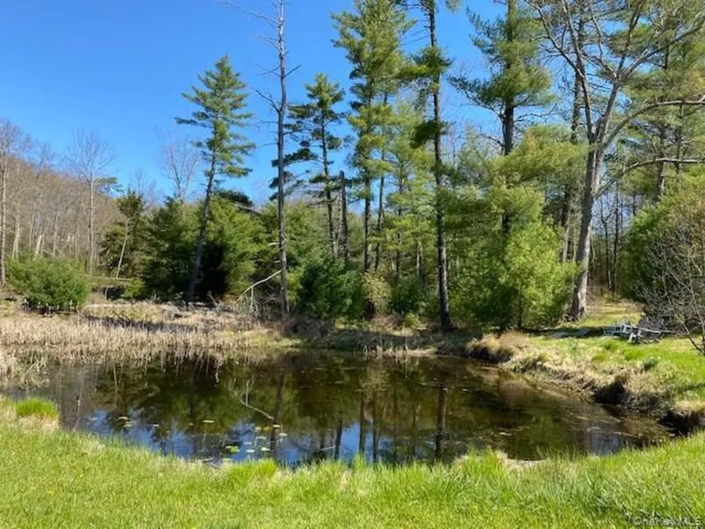 592 Proctor Road Glen Spey NY 12737