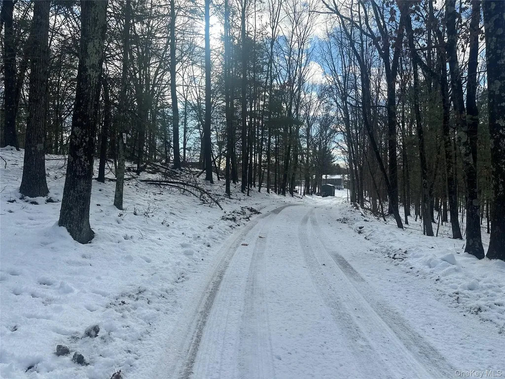 Cedar Drive Elizaville NY 12523