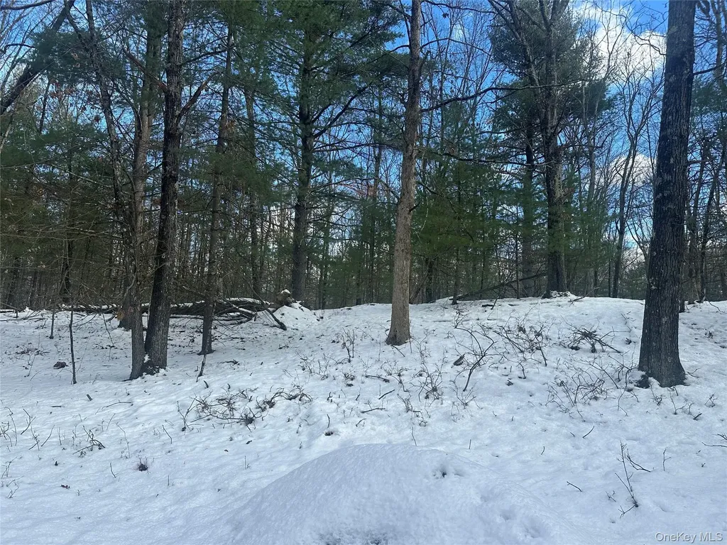 Cedar Drive Elizaville NY 12523