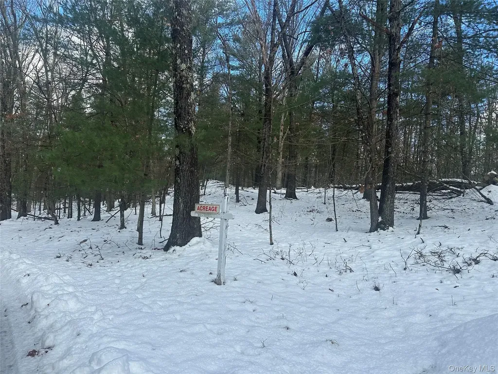 Cedar Drive Elizaville NY 12523