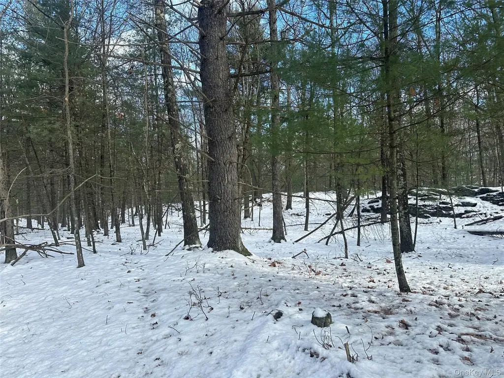 Cedar Drive Elizaville NY 12523
