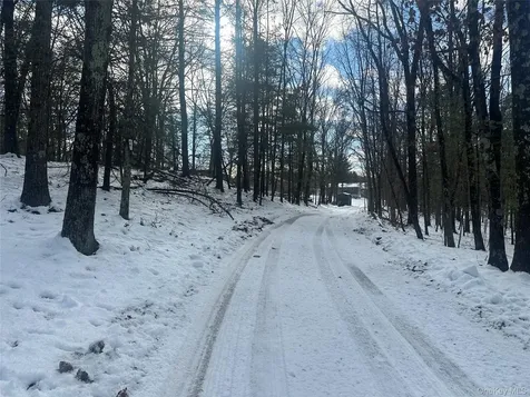 Cedar Drive Elizaville NY 12523