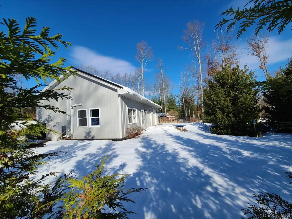 123 Wildwood Way Forestburgh NY 12777