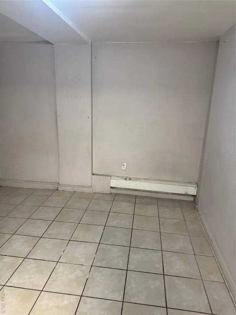 169 Euclid Avenue Brooklyn NY 11208