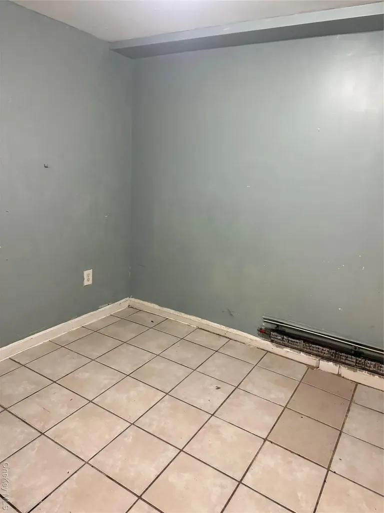 169 Euclid Avenue Brooklyn NY 11208