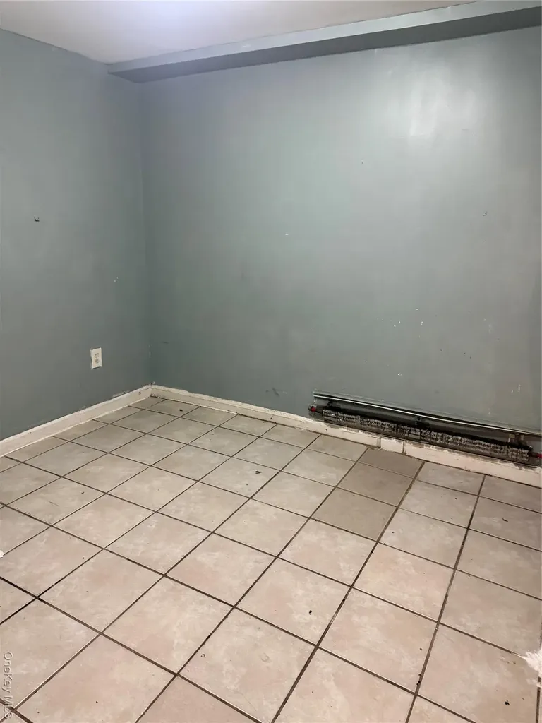 169 Euclid Avenue Brooklyn NY 11208