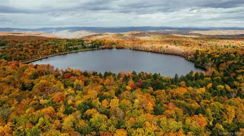 LOT 10 Wood Lake Trail Roscoe NY 12736