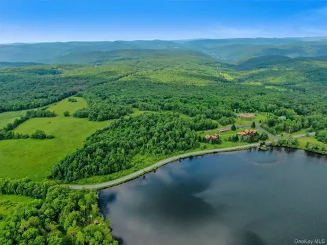 Lot 10 Wood Lake Trail Roscoe NY 12736