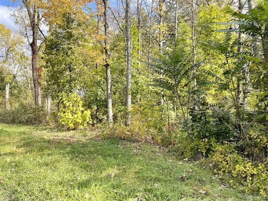 534 Violet Avenue Hyde Park NY 12538
