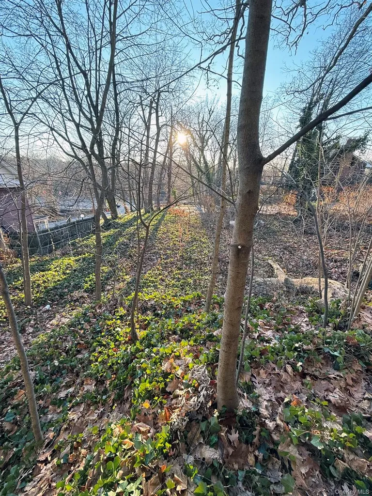 6 Aka 10 Rossmore Avenue Bronxville NY 10708