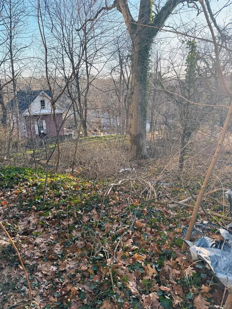 6 Aka 10 Rossmore Avenue Bronxville NY 10708