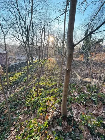 6 Aka 10 Rossmore Avenue Bronxville NY 10708