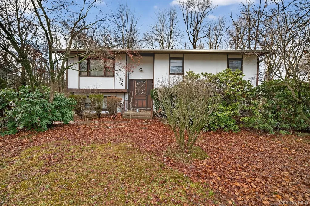 53 Mallory Road Spring Valley NY 10977