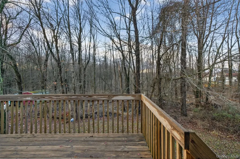 53 Mallory Road Spring Valley NY 10977