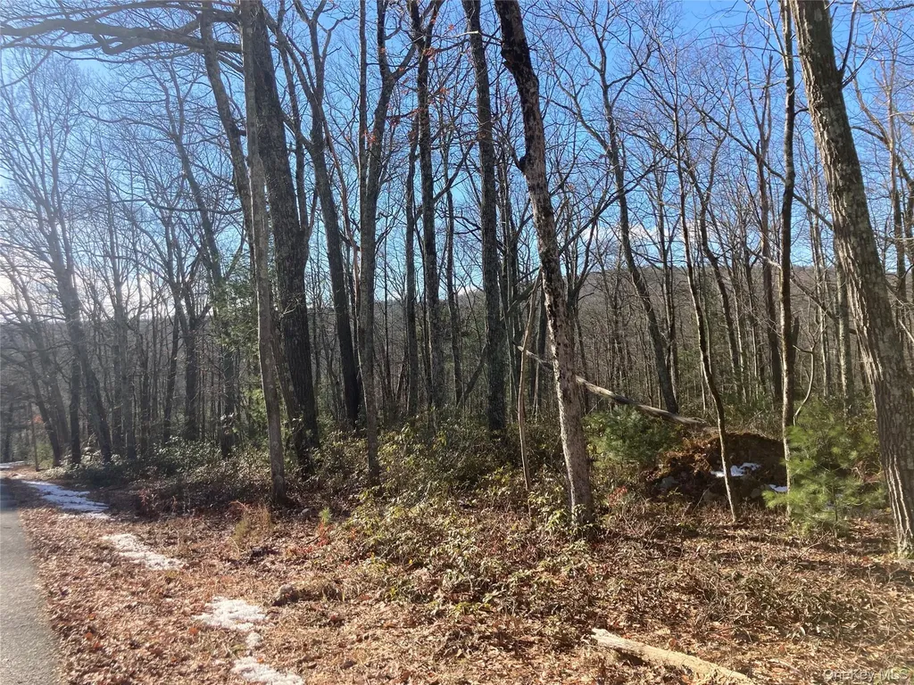 00 Hoeppner Drive Wurtsboro NY 12790
