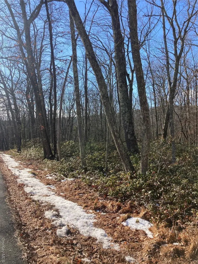 00 Hoeppner Drive Wurtsboro NY 12790