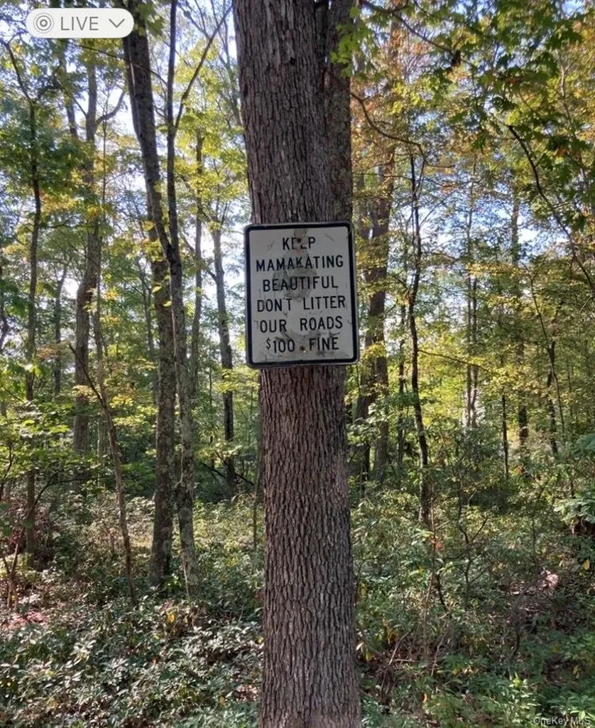 00 Hoeppner Drive Wurtsboro NY 12790