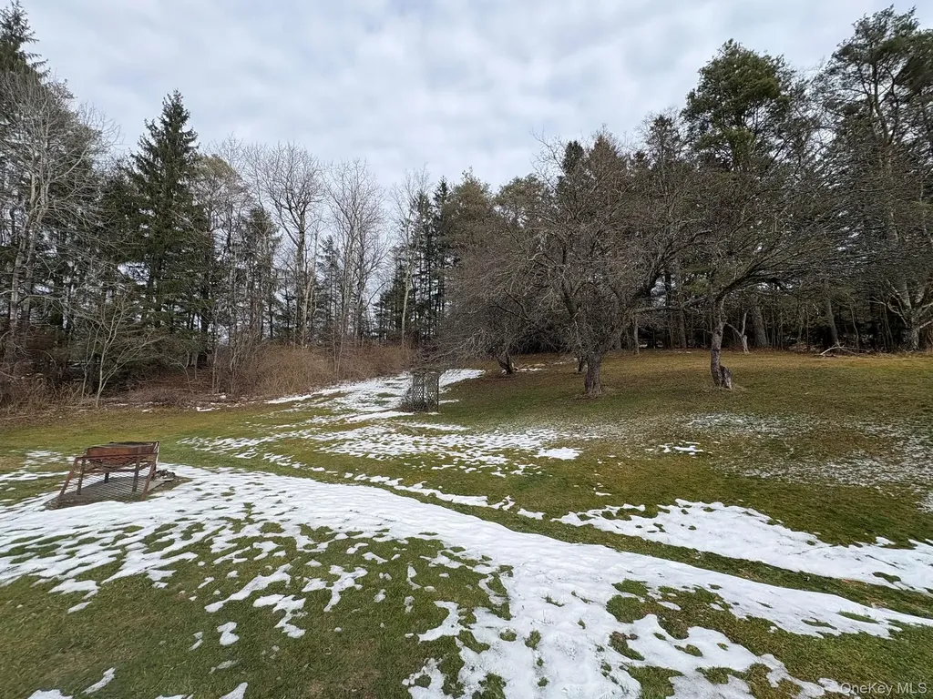 5852 State Route 55 Liberty NY 12754