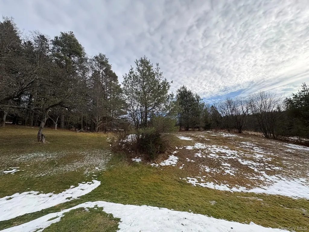 5852 State Route 55 Liberty NY 12754