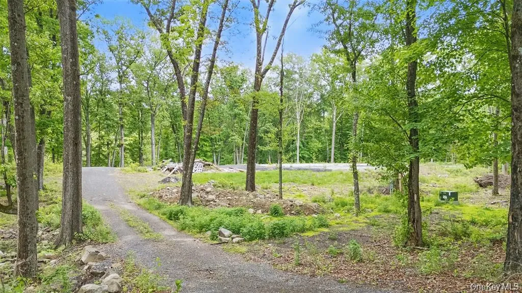 715 Broadway Esopus NY 12429