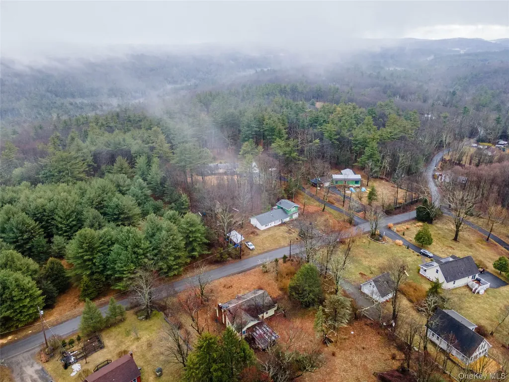 106 Sheldon Hill Road Olivebridge NY 12461