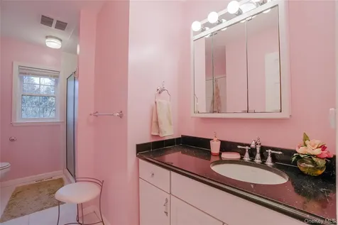 13 Edna Drive Hyde Park NY 12538