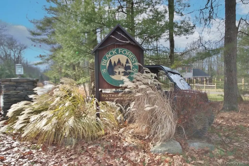 134 Black Forest Road Glen Spey NY 12737