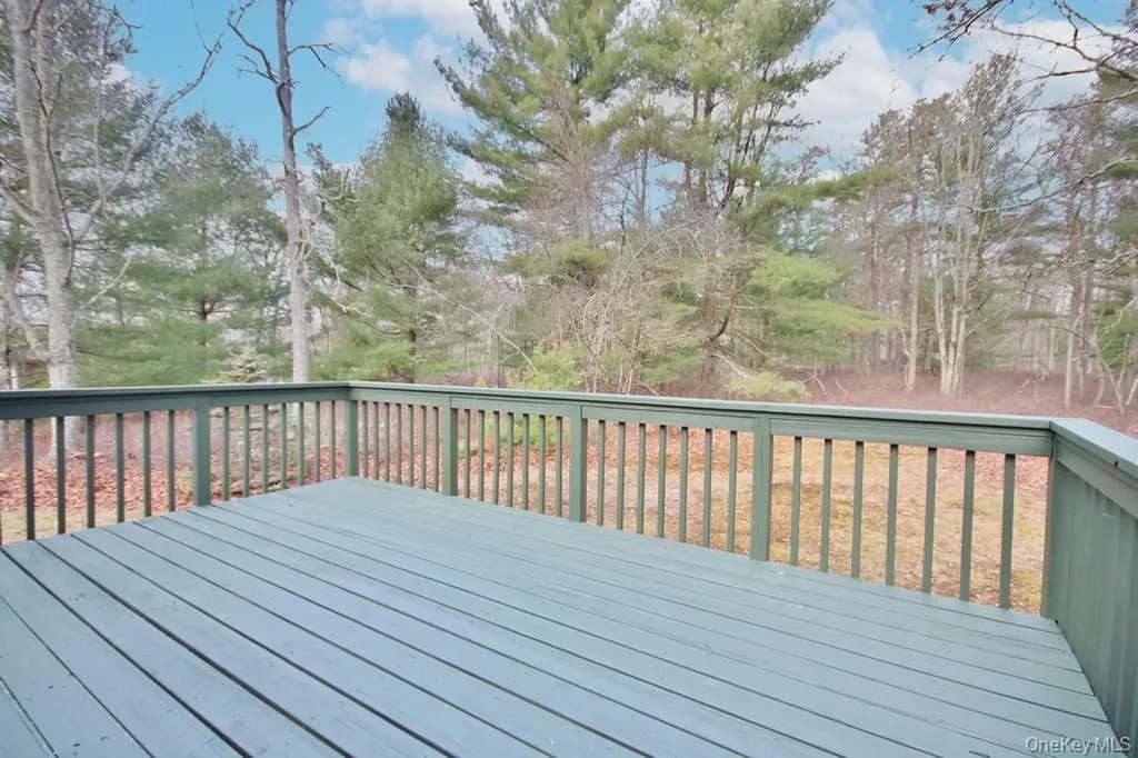 134 Black Forest Road Glen Spey NY 12737