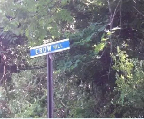 17 Crow Hill Lane Rhinebeck NY 12572