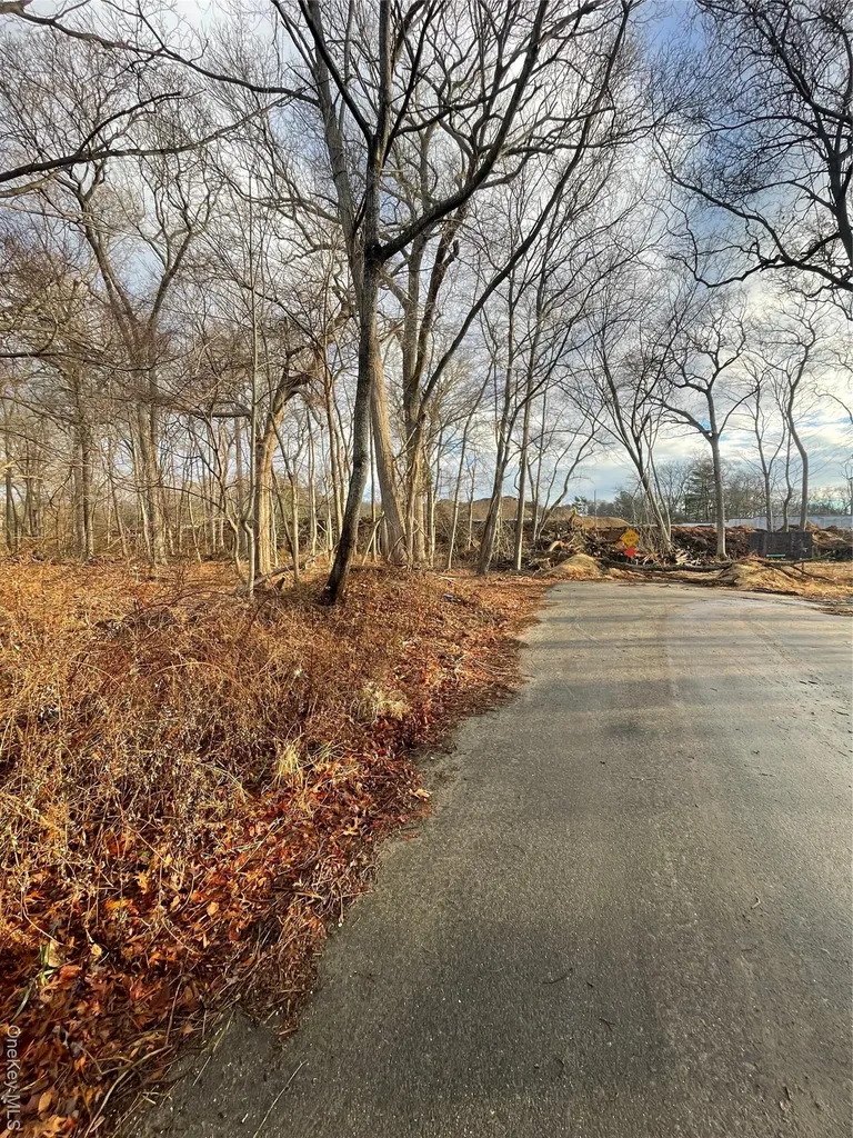 0 Daniel Lane Middle Island NY 11953