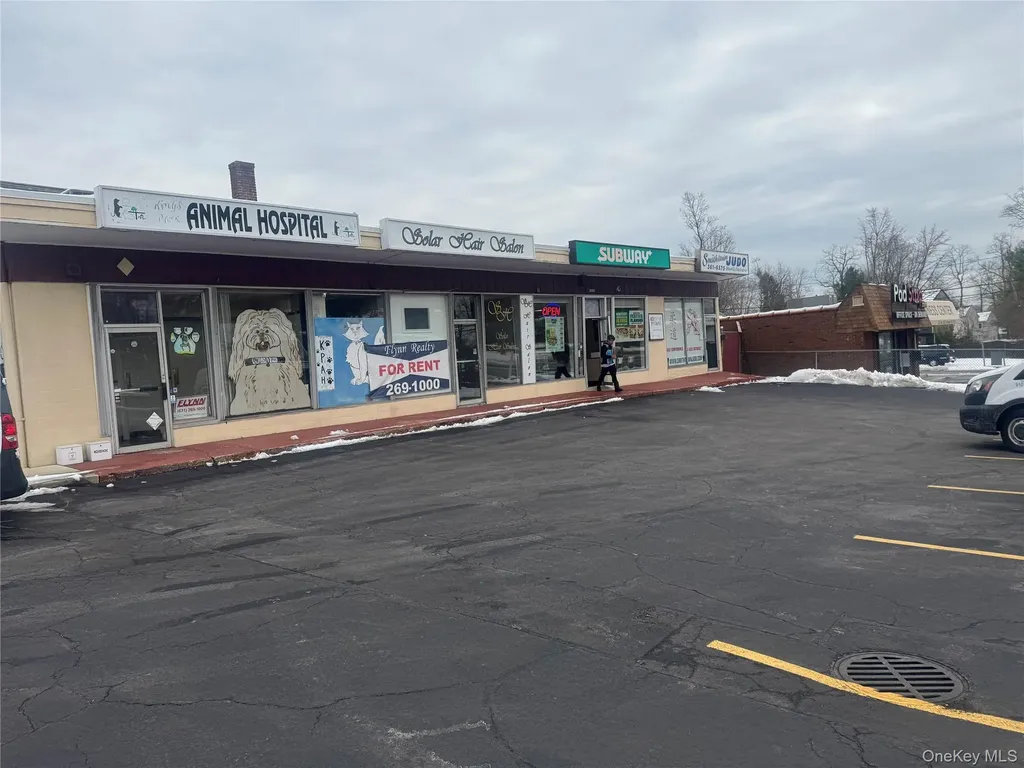 1217 25a N Smithtown NY 11787