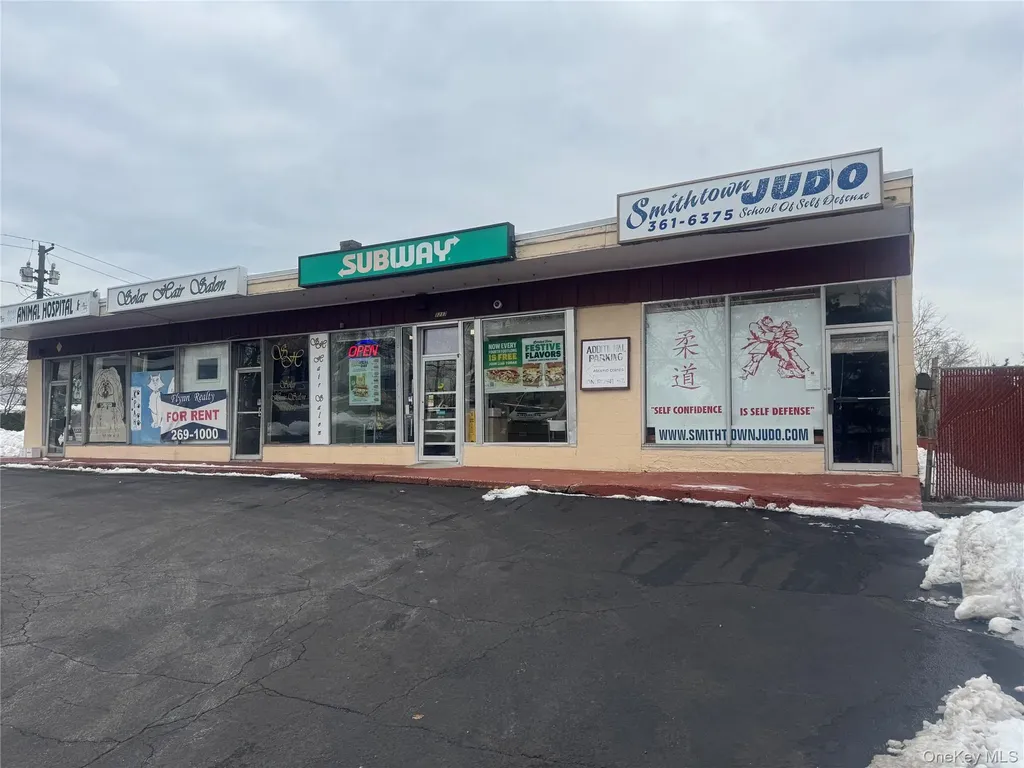 1217 25a N Smithtown NY 11787