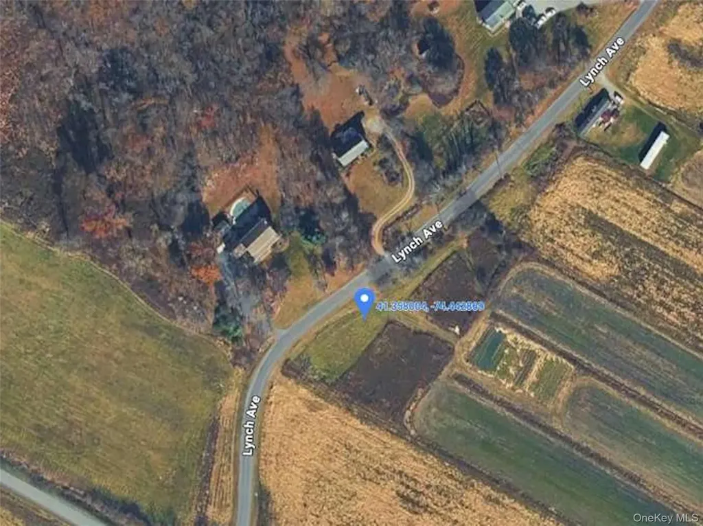 0 Lynch Avenue New Hampton NY 10958