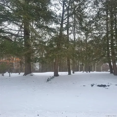 000 Roslyn Ridge Road Mongaup Valley NY 12720